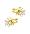 Elegant Star Silver Stud Earring STS-6812